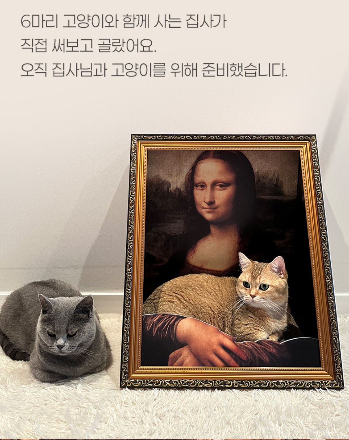 IMG_1359.jpeg