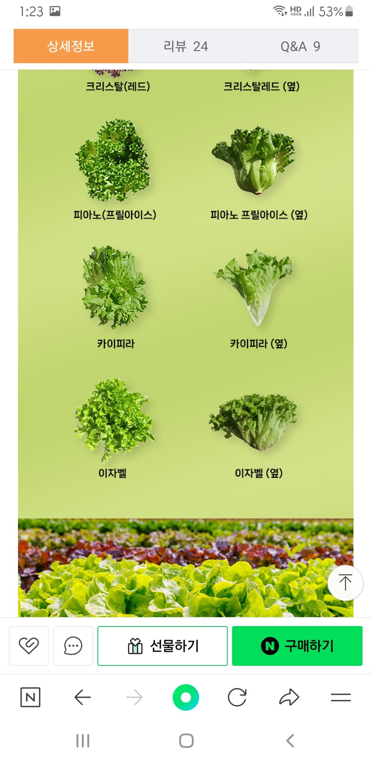 Screenshot_20240613-132339_NAVER.jpg [네이버] 유럽 샐러드 1kg (3~4종) (6,900원) (0원)