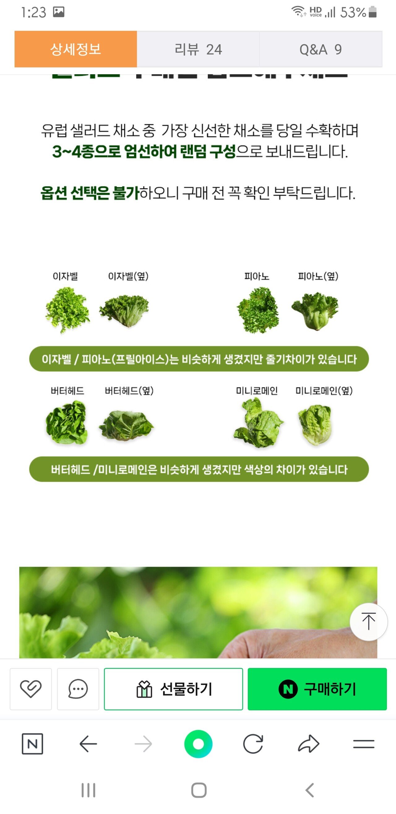 Screenshot_20240613-132346_NAVER.jpg [네이버] 유럽 샐러드 1kg (3~4종) (6,900원) (0원)