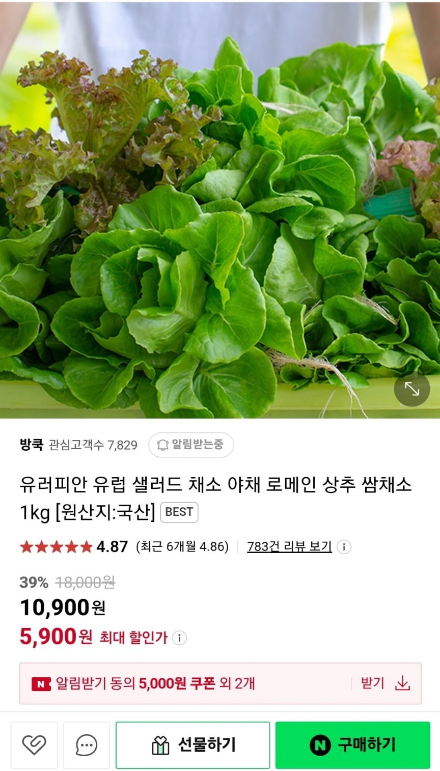 image.png [네이버] 유러피안 유럽샐러드 상추, 쌈채소 1kg(5900, 무배) (5,900원) (무료)