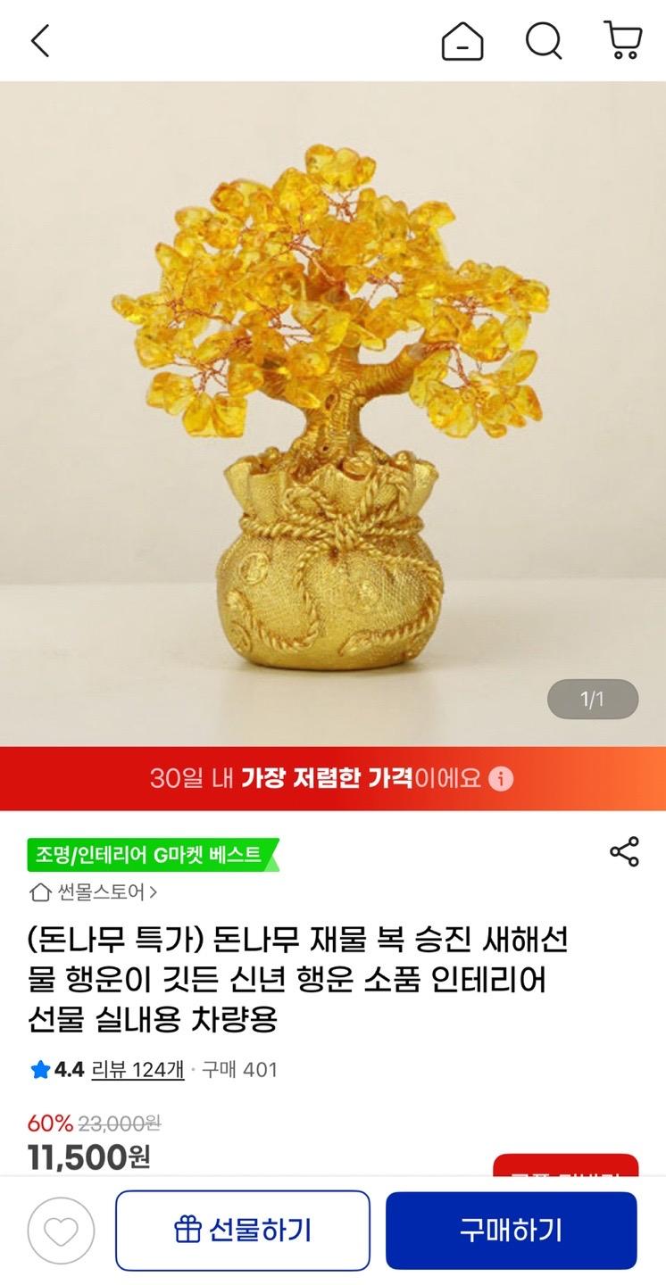 돈나무 재물 복 승진 행운 인테리어 소품 9,200원 무배 (1)