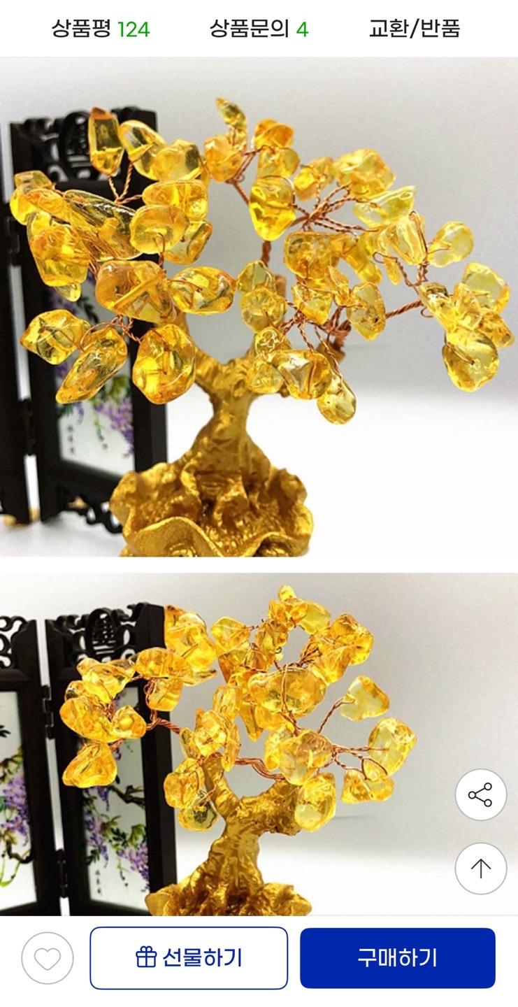 돈나무 재물 복 승진 행운 인테리어 소품 9,200원 무배 (4)