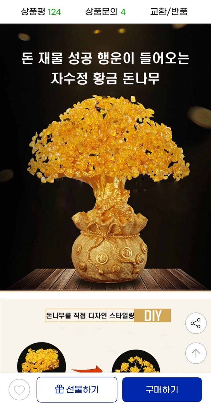 돈나무 재물 복 승진 행운 인테리어 소품 9,200원 무배 (2)