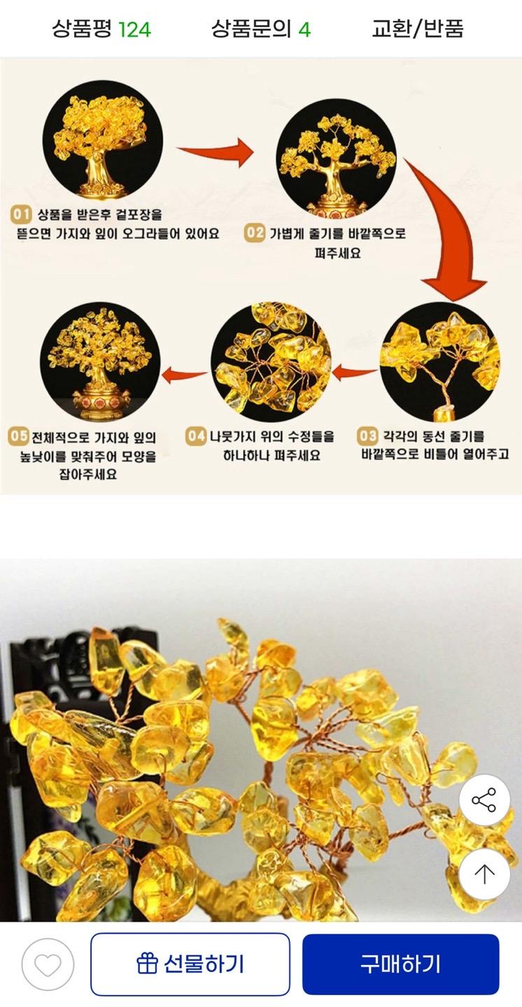 돈나무 재물 복 승진 행운 인테리어 소품 9,200원 무배 (3)