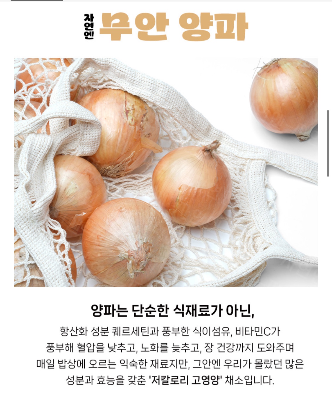 ㅇㅍ2.jpg