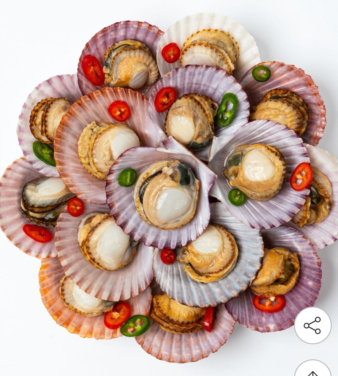 당일조업 세척 홍가리비 2kg 40미이내 3번째 사진