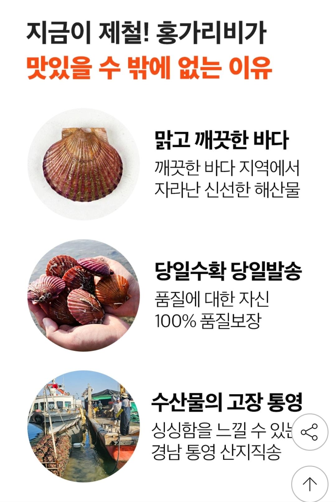 당일조업 세척 홍가리비 2kg 40미이내 2번째 사진