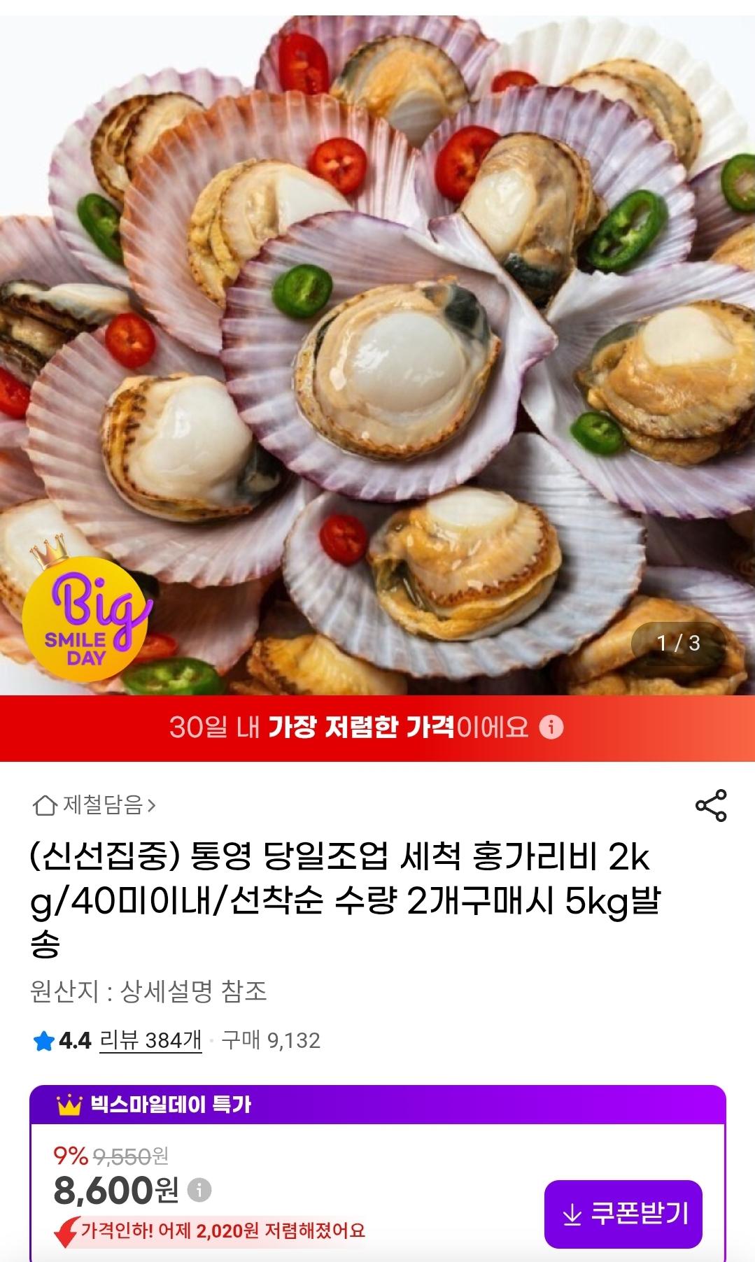 당일조업 세척 홍가리비 2kg 40미이내