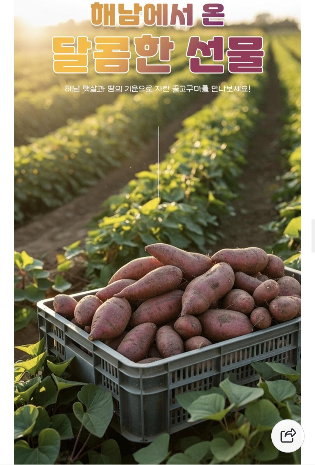 해남 꿀고구마 3kg 대 7,760원 무배 2번째 사진