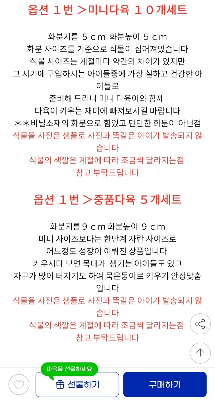 미니 다육 선인장 10개 세트 7,600원 무료배송 (2)