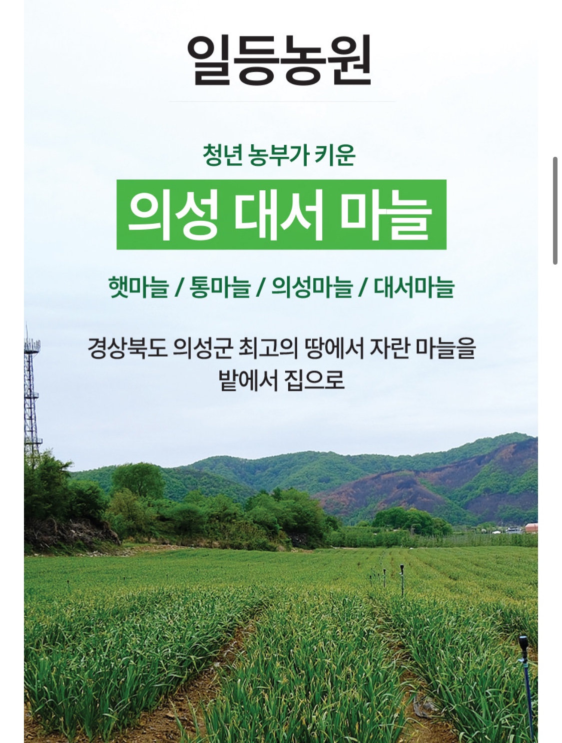 ㄷㅅ2.jpg