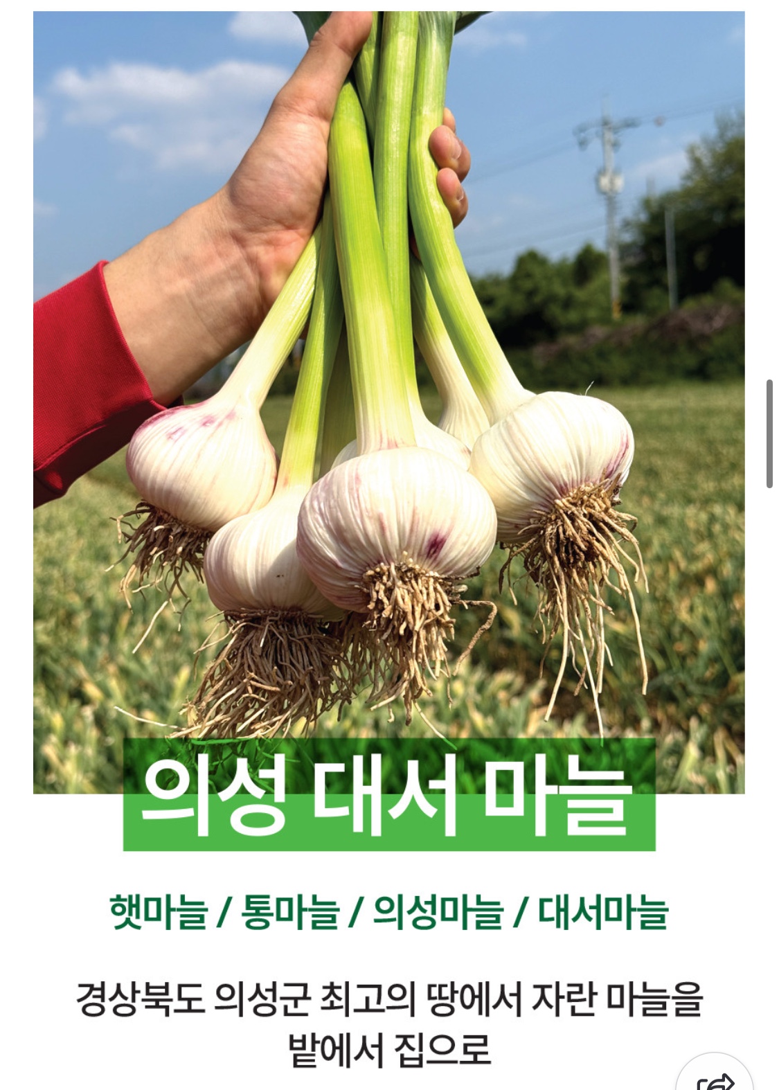 ㄷㅅ4.jpg