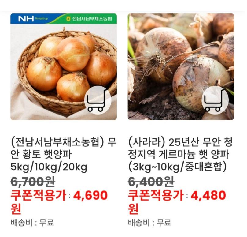 욜케.PNG.jpg