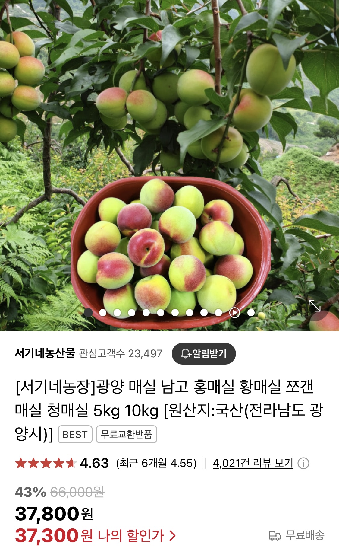 ㅊㅁㅅ1.jpg