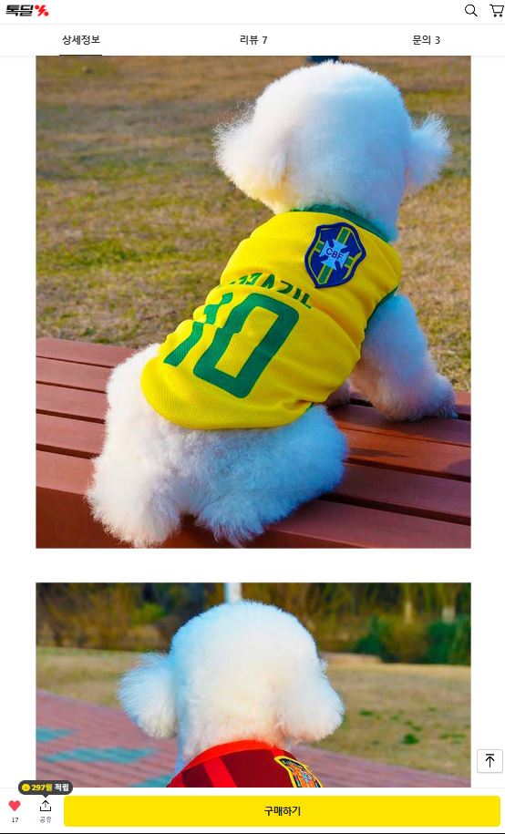 4.JPG