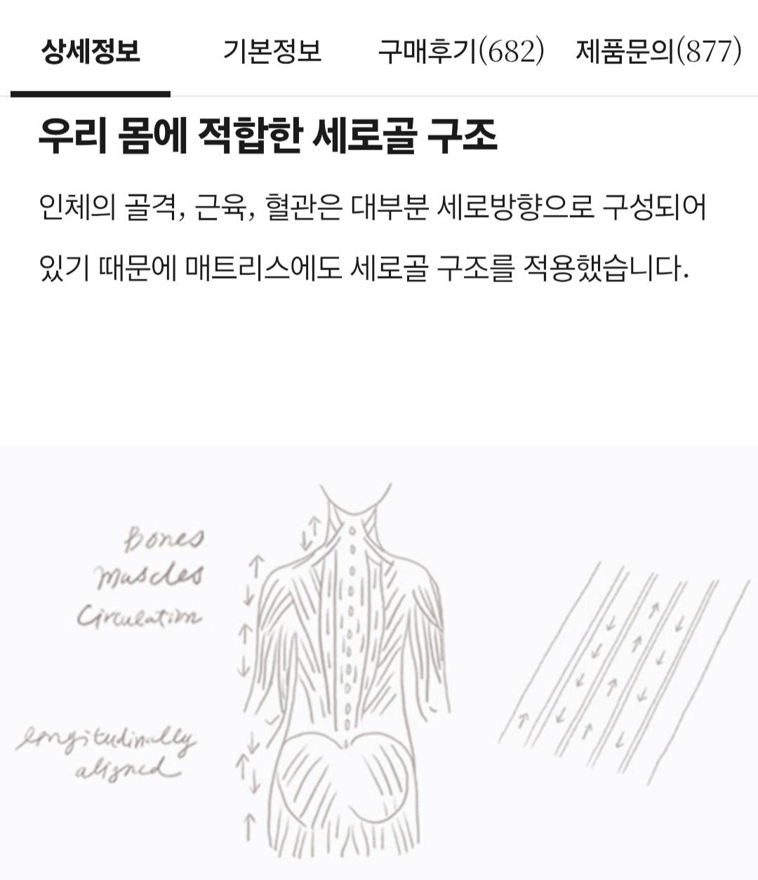 척추전문의사가 만든 매트리스 276,000원 (3)