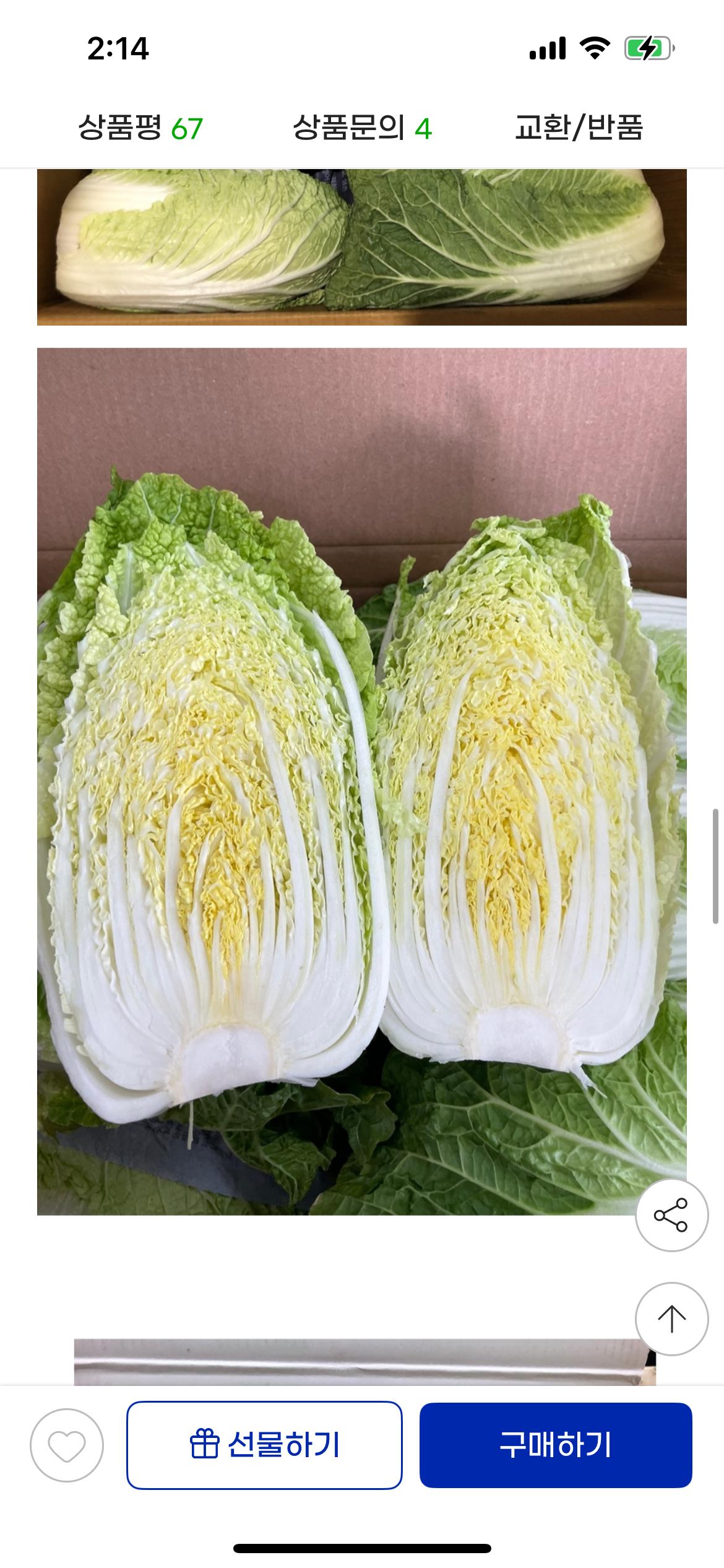 KakaoTalk_20250730_141501526_02.png.jpg