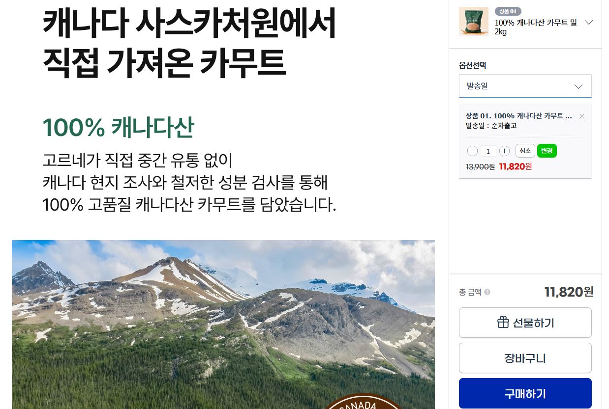 카무트2.JPG