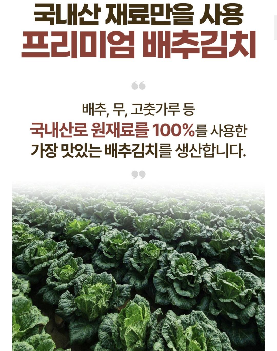 전라도 실비김치2kg 16,900원 무배 2번째 사진