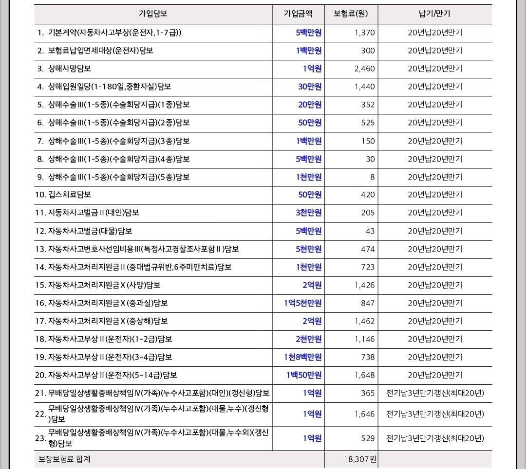 운전자보험