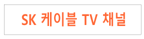 sk-케이블.gif