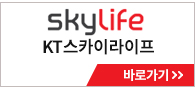 위즈통신 KT스카이라이프