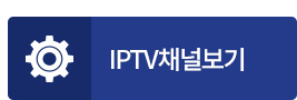 위즈통신 IPTV채널보기