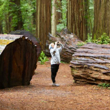 월드컵부터 코첼라까지?