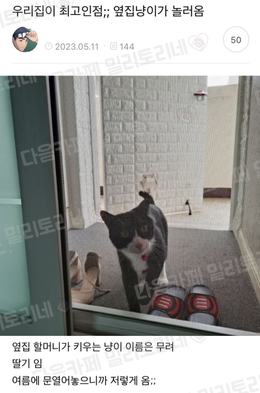 우리집이 최고인 점 (1)