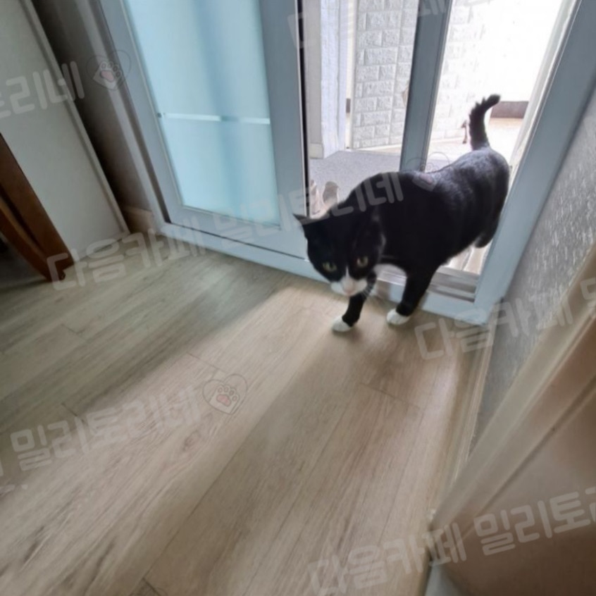 우리집이 최고인 점 (2)