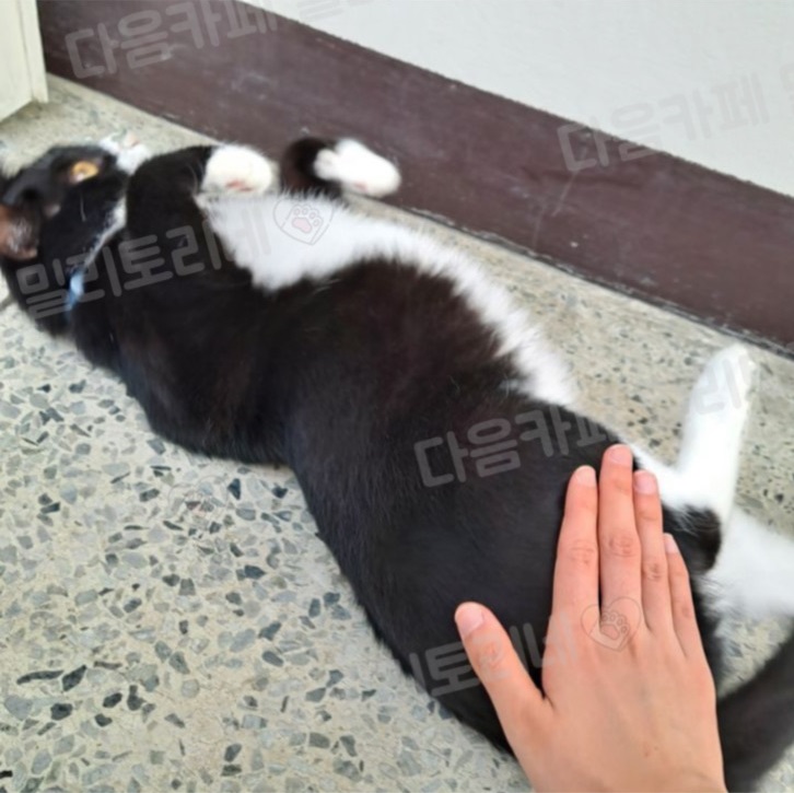 우리집이 최고인 점 (9)