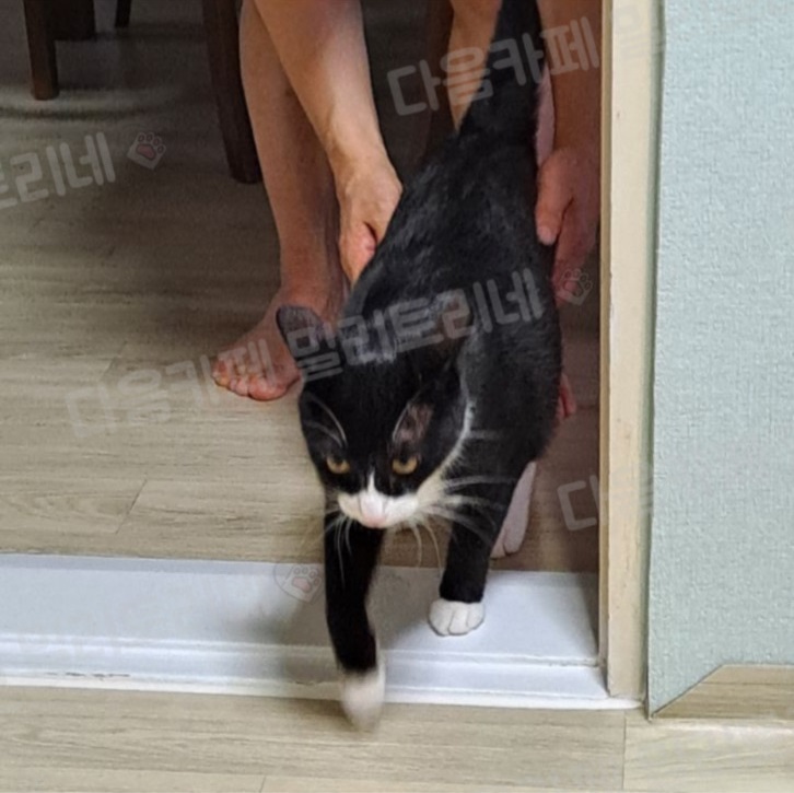 우리집이 최고인 점 (10)