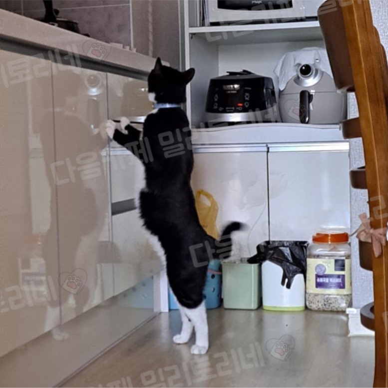 우리집이 최고인 점 (4)