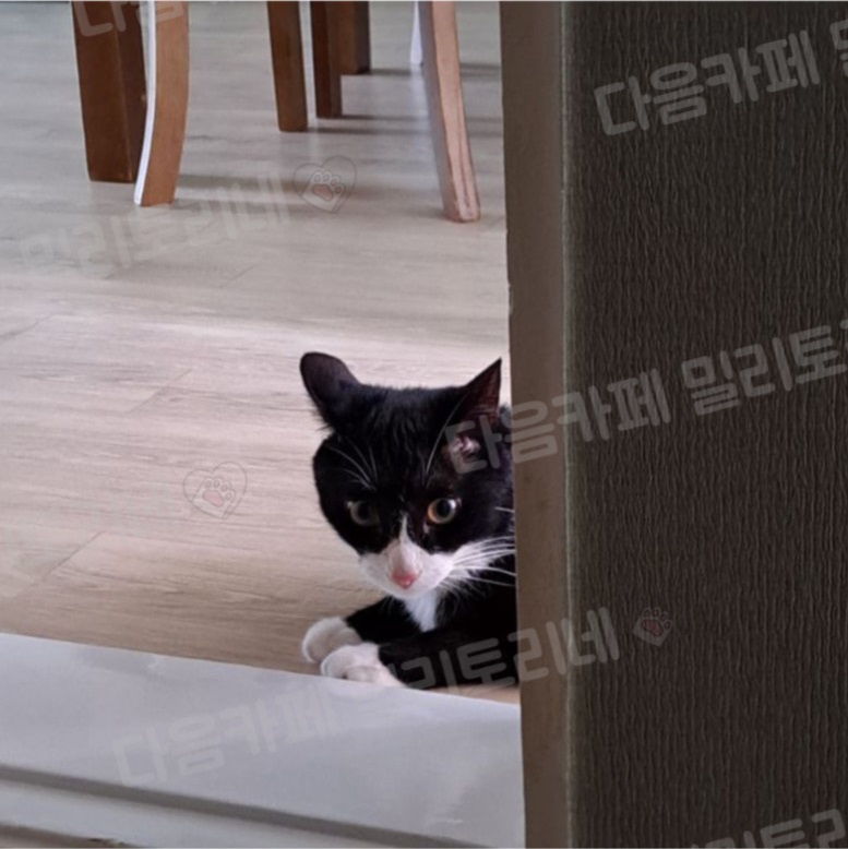 우리집이 최고인 점 (5)