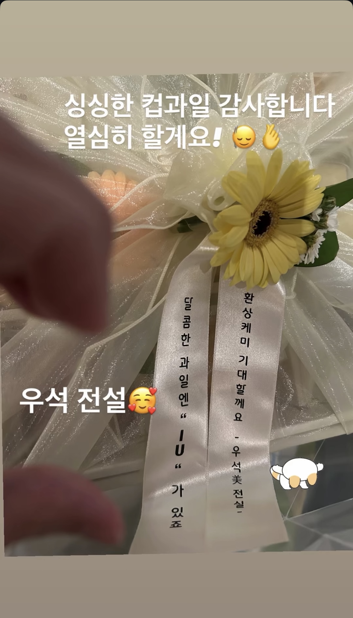 아이유 21세기 대군부인 변우석 팬들 선물 인증 2번째 사진