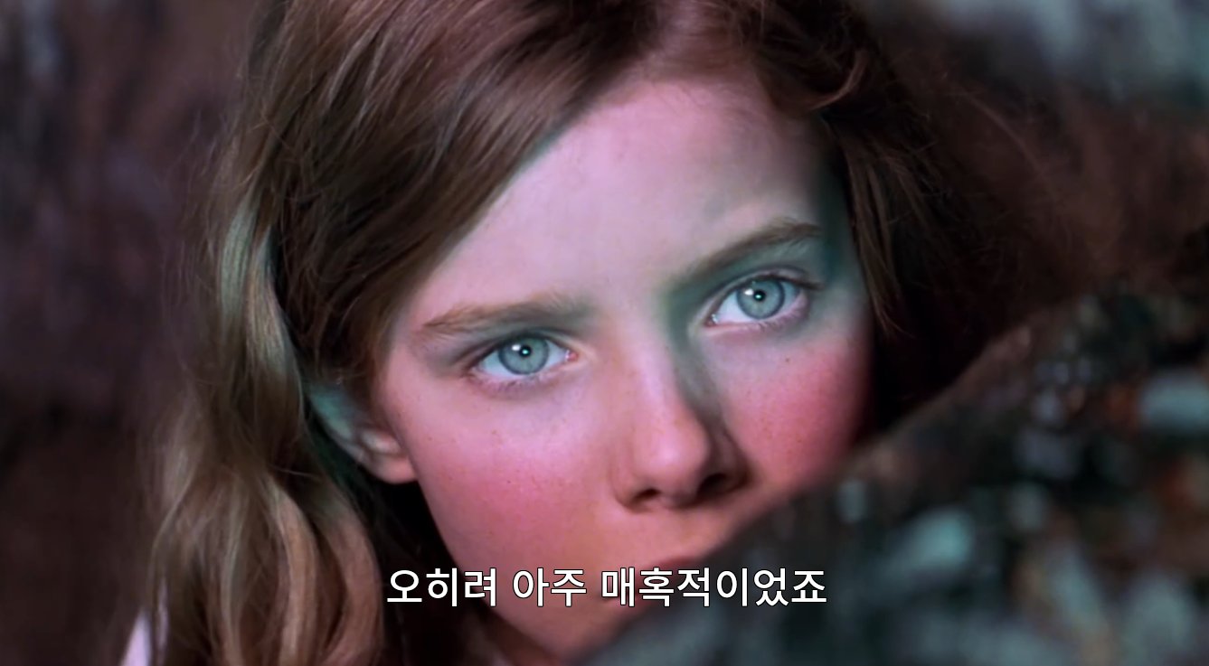 아직도 최애 피터팬으로 꼽는 사람 많다는 영화 2003년 피터팬 (31)