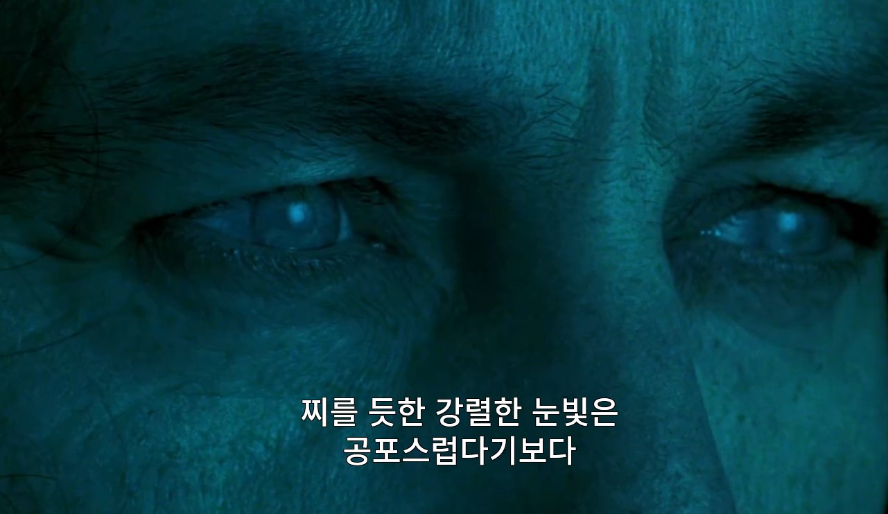 아직도 최애 피터팬으로 꼽는 사람 많다는 영화 2003년 피터팬 (30)