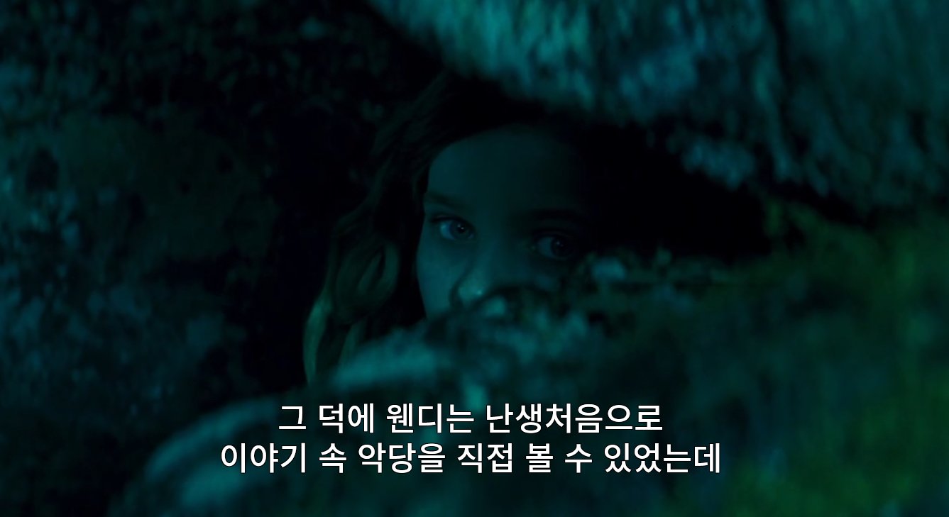 아직도 최애 피터팬으로 꼽는 사람 많다는 영화 2003년 피터팬 (29)