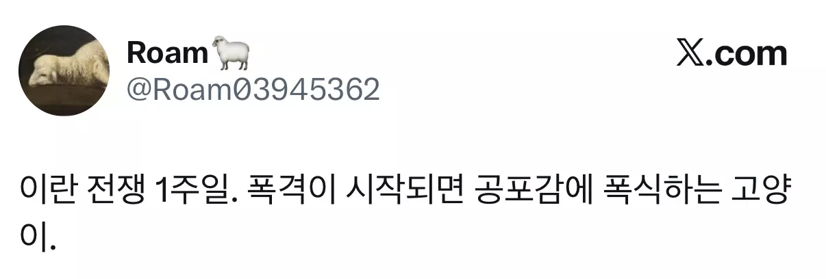 폭격이 시작되면 공포감에 폭식하는 이란 고양이