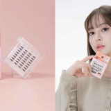 다이소 '꽁래쉬'