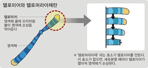 20141028001837131_2.jpg?type=w800