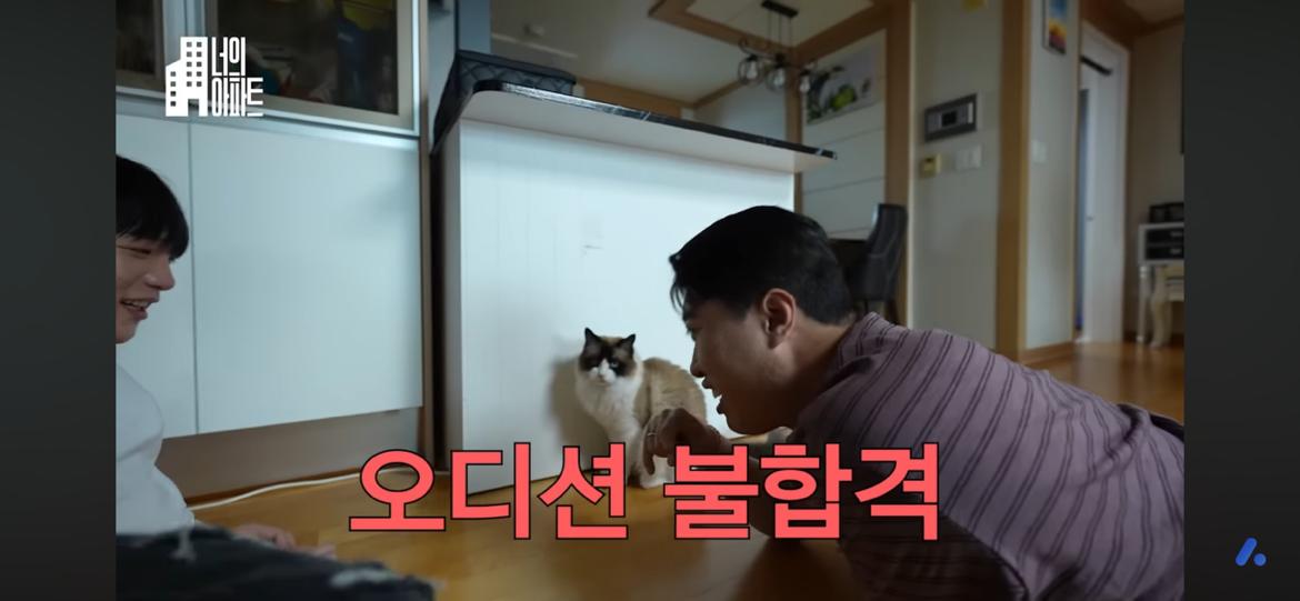 고양이 키우는집사들 유튜브 신청해봐!! 2번째 사진