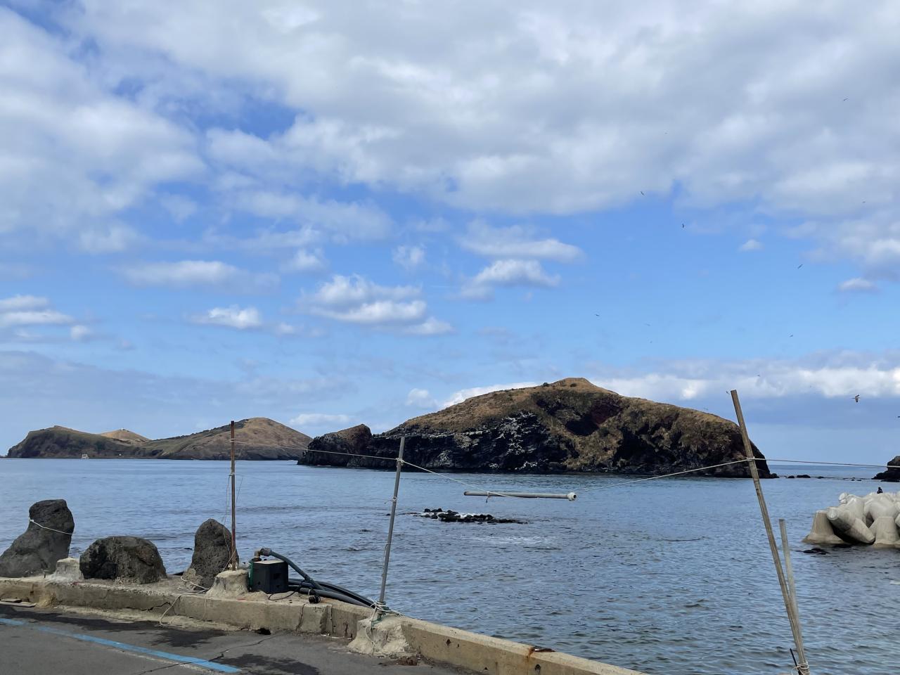 6719F41B-05D8-487F-93C4-13F97868784D.jpeg.jpg