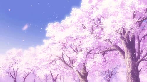 Anime Cherry Blossom GIFs - Get the best GIF on GIPHY
