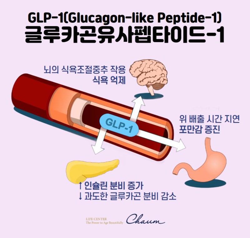 위고비 드디어 한국 상륙 다이어트 약 끝판왕 될까 2번째 사진