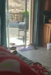 FB3D7483-9F9C-488D-B4FA-57E78695B1DD.gif