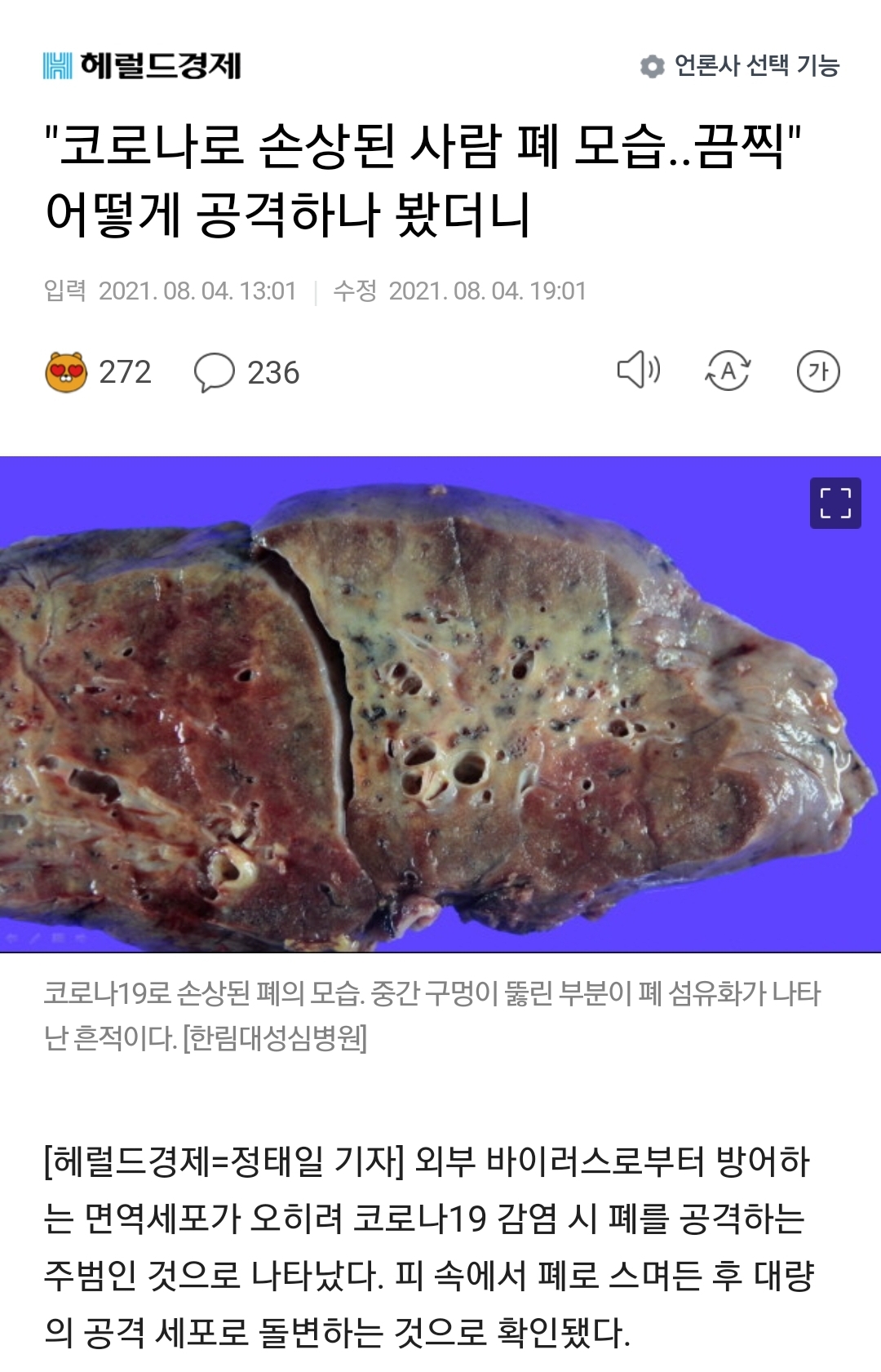 1888635182_Bma7G0Ko_Screenshot_20210804-190901_NAVER.jpg