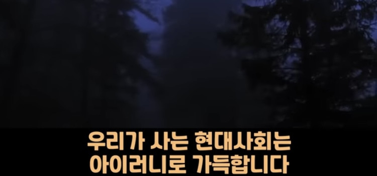 1692320804306.jpg