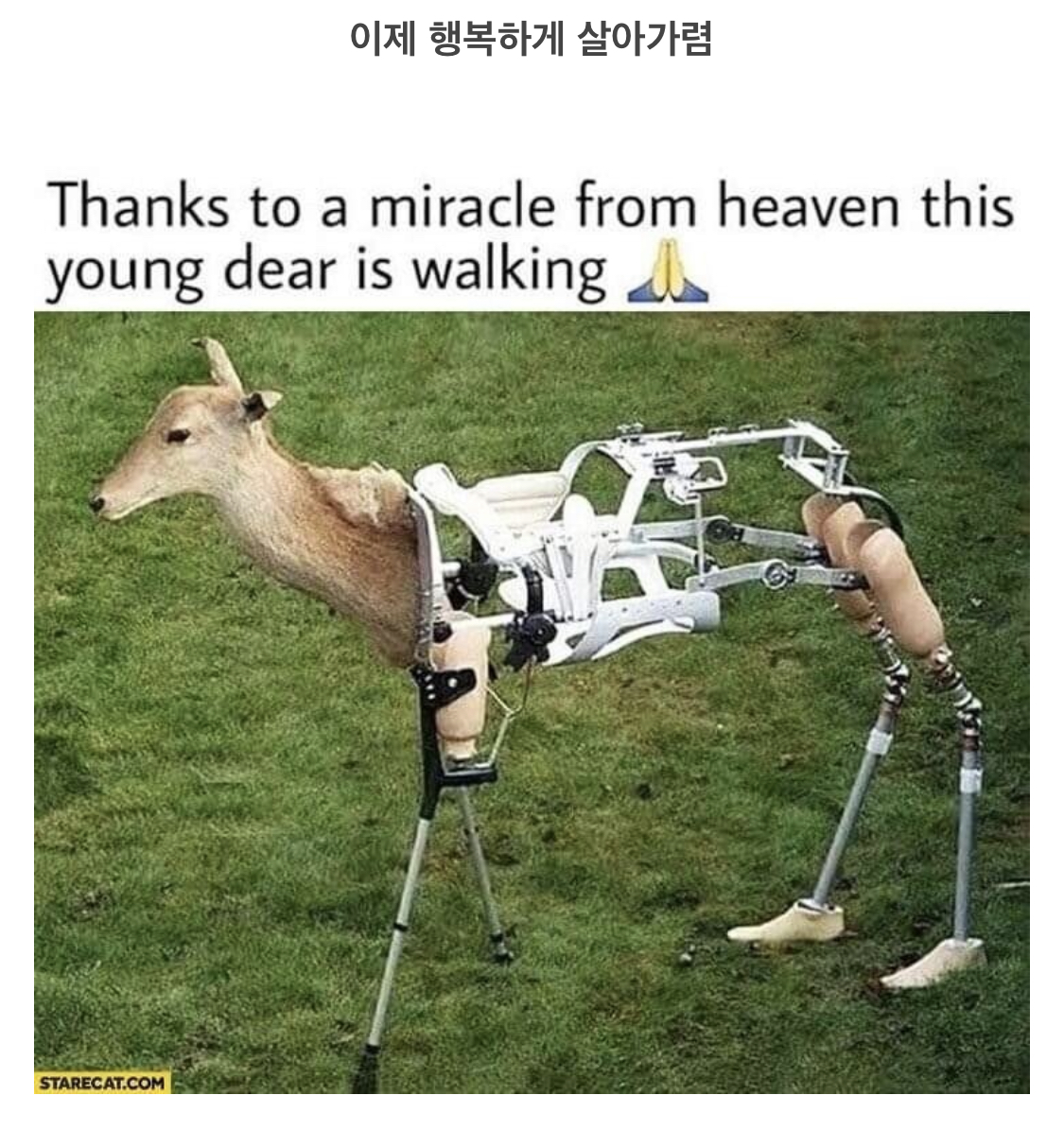 E837E066-3D43-4408-AA88-4063891465FF.jpeg