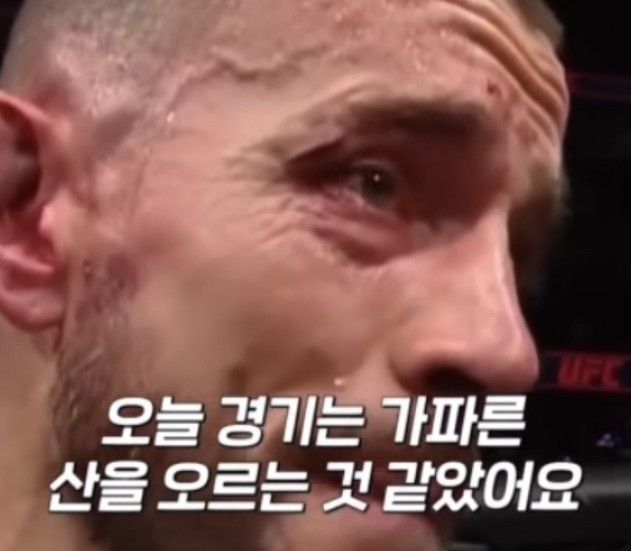 김짤.com_003.jpg